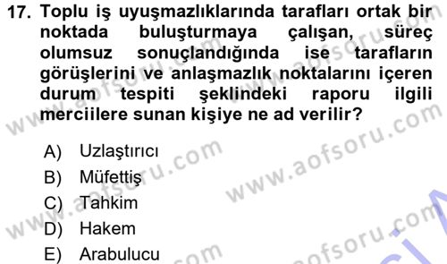 Endüstri İlişkileri Dersi 2015 - 2016 Yılı (Final) Dönem Sonu Sınav Soruları 17. Soru