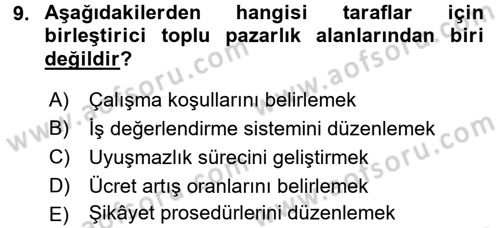Endüstri İlişkileri Dersi 2015 - 2016 Yılı (Final) Dönem Sonu Sınav Soruları 9. Soru