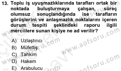 Endüstri İlişkileri Dersi 2015 - 2016 Yılı Tek Ders Sınav Soruları 13. Soru