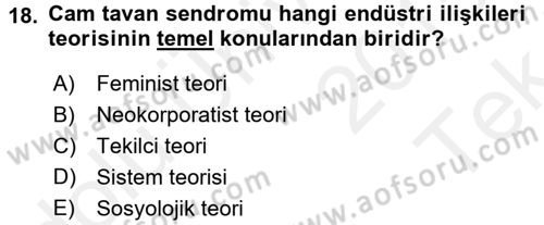 Endüstri İlişkileri Dersi 2015 - 2016 Yılı Tek Ders Sınav Soruları 18. Soru