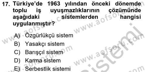 Endüstri İlişkileri Dersi 2016 - 2017 Yılı 3 Ders Sınav Soruları 17. Soru