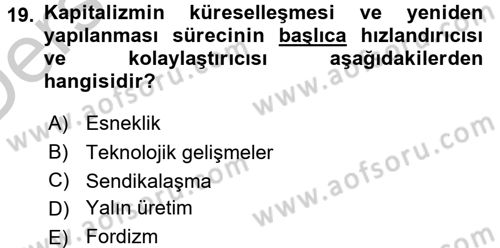 Endüstri İlişkileri Dersi 2016 - 2017 Yılı 3 Ders Sınav Soruları 19. Soru