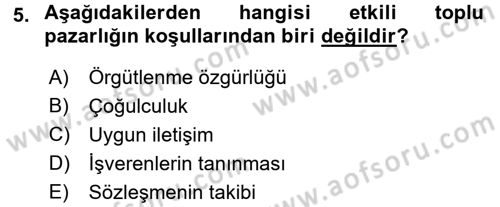 Endüstri İlişkileri Dersi 2016 - 2017 Yılı 3 Ders Sınav Soruları 5. Soru