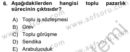 Endüstri İlişkileri Dersi 2016 - 2017 Yılı 3 Ders Sınav Soruları 6. Soru