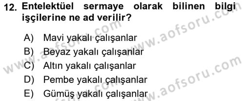 Endüstri İlişkileri Dersi 2016 - 2017 Yılı (Vize) Ara Sınav Soruları 12. Soru