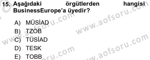 Endüstri İlişkileri Dersi Ara Sınavı Deneme Sınav Soruları 15. Soru