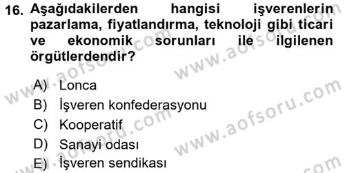 Endüstri İlişkileri Dersi 2016 - 2017 Yılı (Vize) Ara Sınav Soruları 16. Soru