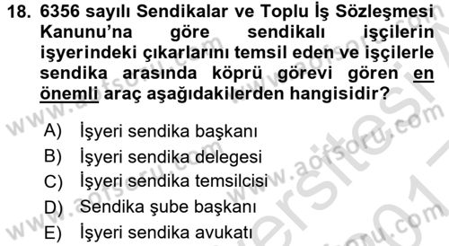 Endüstri İlişkileri Dersi Ara Sınavı Deneme Sınav Soruları 18. Soru