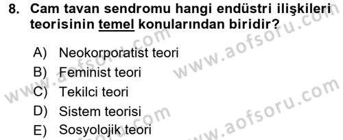 Endüstri İlişkileri Dersi Ara Sınavı Deneme Sınav Soruları 8. Soru