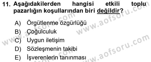 Endüstri İlişkileri Dersi 2016 - 2017 Yılı (Final) Dönem Sonu Sınav Soruları 11. Soru