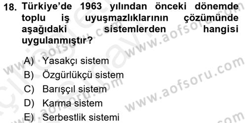 Endüstri İlişkileri Dersi 2017 - 2018 Yılı 3 Ders Sınav Soruları 18. Soru