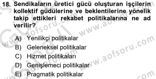 Endüstri İlişkileri Dersi Ara Sınavı Deneme Sınav Soruları 18. Soru