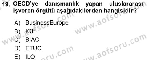 Endüstri İlişkileri Dersi 2017 - 2018 Yılı (Vize) Ara Sınav Soruları 19. Soru