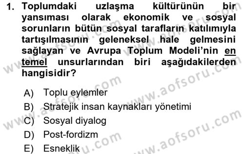 Endüstri İlişkileri Dersi 2017 - 2018 Yılı (Final) Dönem Sonu Sınav Soruları 1. Soru