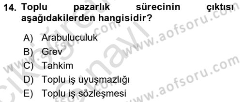 Endüstri İlişkileri Dersi 2018 - 2019 Yılı 3 Ders Sınav Soruları 14. Soru
