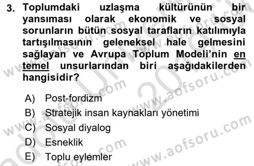 Endüstri İlişkileri Dersi 2018 - 2019 Yılı 3 Ders Sınav Soruları 3. Soru