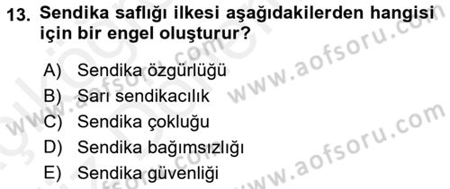 Endüstri İlişkileri Dersi 2018 - 2019 Yılı (Vize) Ara Sınav Soruları 13. Soru