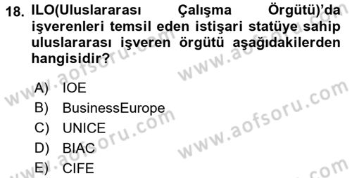 Endüstri İlişkileri Dersi 2018 - 2019 Yılı (Vize) Ara Sınavı 18. Soru