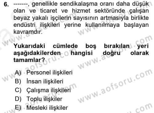 Endüstri İlişkileri Dersi Ara Sınavı Deneme Sınav Soruları 6. Soru