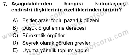 Endüstri İlişkileri Dersi 2018 - 2019 Yılı (Vize) Ara Sınav Soruları 7. Soru