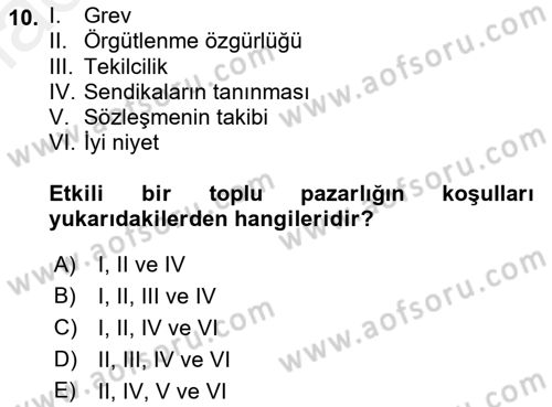 Endüstri İlişkileri Dersi 2018 - 2019 Yılı (Final) Dönem Sonu Sınav Soruları 10. Soru