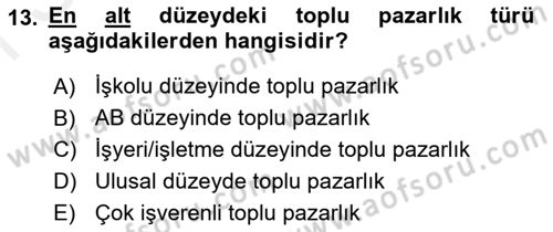 Endüstri İlişkileri Dersi 2018 - 2019 Yılı (Final) Dönem Sonu Sınav Soruları 13. Soru