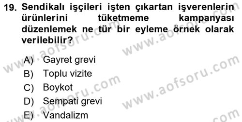 Endüstri İlişkileri Dersi 2018 - 2019 Yılı Yaz Okulu Sınav Soruları 19. Soru