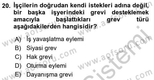 Endüstri İlişkileri Dersi 2018 - 2019 Yılı Yaz Okulu Sınav Soruları 20. Soru