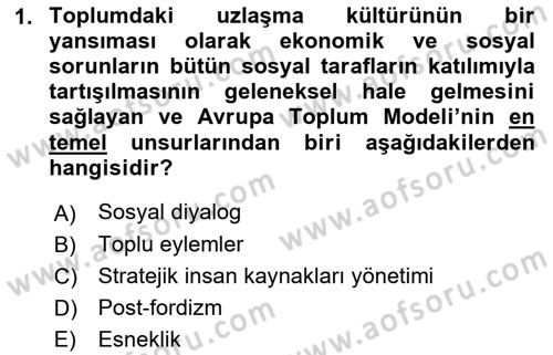 Endüstri İlişkileri Dersi Ara Sınavı Deneme Sınav Soruları 1. Soru