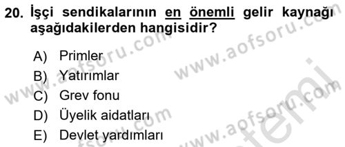 Endüstri İlişkileri Dersi Ara Sınavı Deneme Sınav Soruları 20. Soru