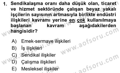 Endüstri İlişkileri Dersi 2019 - 2020 Yılı (Final) Dönem Sonu Sınav Soruları 1. Soru