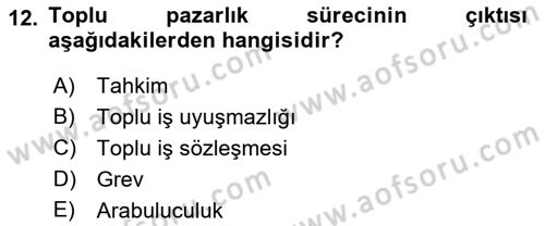 Endüstri İlişkileri Dersi 2019 - 2020 Yılı (Final) Dönem Sonu Sınav Soruları 12. Soru