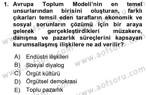 Endüstri İlişkileri Dersi 2020 - 2021 Yılı Yaz Okulu Sınav Soruları 1. Soru
