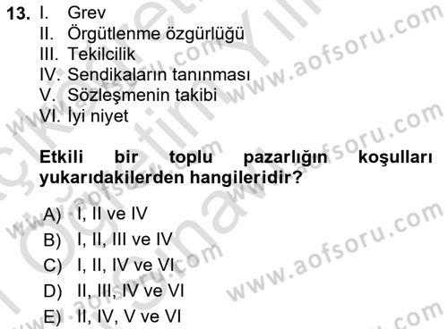 Endüstri İlişkileri Dersi 2020 - 2021 Yılı Yaz Okulu Sınav Soruları 13. Soru