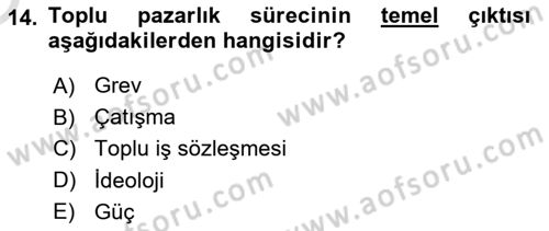 Endüstri İlişkileri Dersi 2020 - 2021 Yılı Yaz Okulu Sınav Soruları 14. Soru