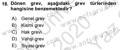 Endüstri İlişkileri Dersi 2020 - 2021 Yılı Yaz Okulu Sınav Soruları 18. Soru