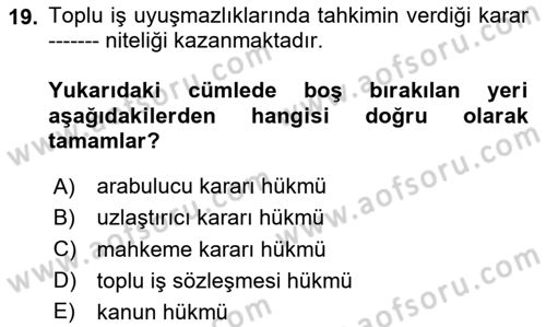 Endüstri İlişkileri Dersi 2020 - 2021 Yılı Yaz Okulu Sınav Soruları 19. Soru