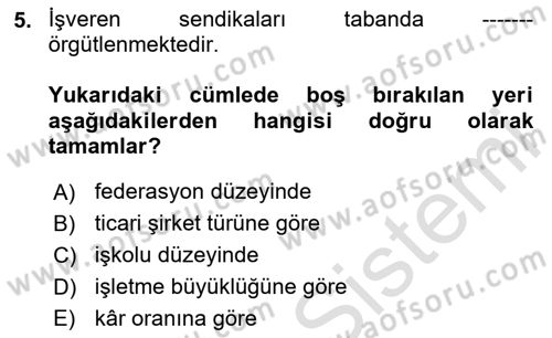 Endüstri İlişkileri Dersi 2020 - 2021 Yılı Yaz Okulu Sınav Soruları 5. Soru