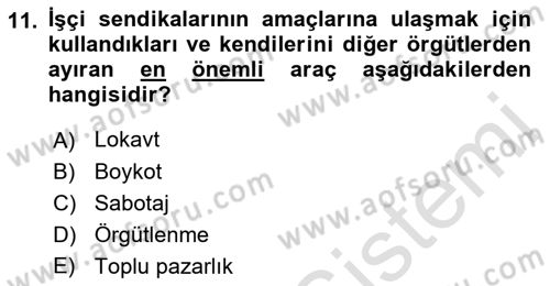 Endüstri İlişkileri Dersi 2021 - 2022 Yılı (Vize) Ara Sınav Soruları 11. Soru