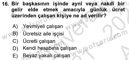 Endüstri İlişkileri Dersi Ara Sınavı Deneme Sınav Soruları 16. Soru