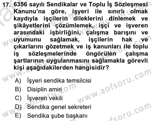 Endüstri İlişkileri Dersi 2021 - 2022 Yılı (Vize) Ara Sınav Soruları 17. Soru
