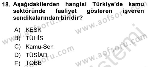 Endüstri İlişkileri Dersi Ara Sınavı Deneme Sınav Soruları 18. Soru