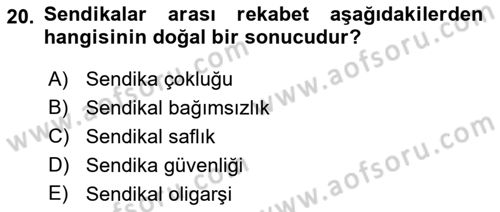 Endüstri İlişkileri Dersi 2021 - 2022 Yılı (Vize) Ara Sınav Soruları 20. Soru
