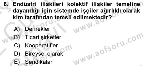 Endüstri İlişkileri Dersi Ara Sınavı Deneme Sınav Soruları 6. Soru