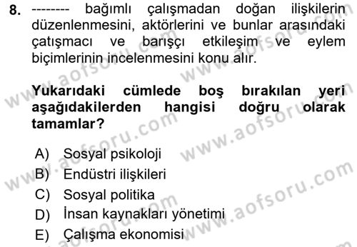 Endüstri İlişkileri Dersi 2021 - 2022 Yılı (Vize) Ara Sınav Soruları 8. Soru