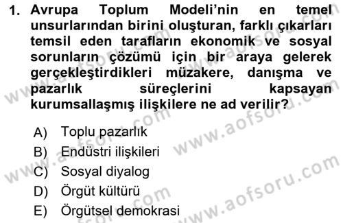 Endüstri İlişkileri Dersi 2021 - 2022 Yılı (Final) Dönem Sonu Sınav Soruları 1. Soru