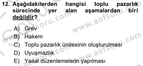 Endüstri İlişkileri Dersi 2021 - 2022 Yılı (Final) Dönem Sonu Sınav Soruları 12. Soru
