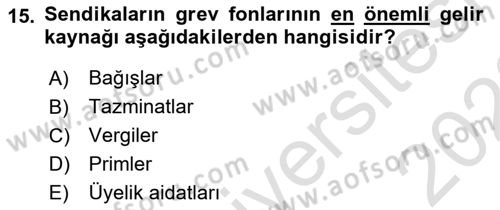 Endüstri İlişkileri Dersi 2021 - 2022 Yılı (Final) Dönem Sonu Sınav Soruları 15. Soru