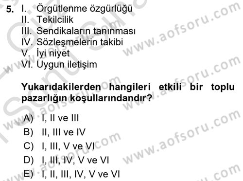 Endüstri İlişkileri Dersi 2021 - 2022 Yılı (Final) Dönem Sonu Sınav Soruları 5. Soru