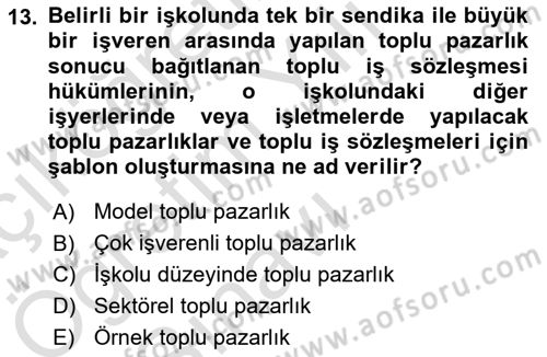 Endüstri İlişkileri Dersi 2021 - 2022 Yılı Yaz Okulu Sınav Soruları 13. Soru